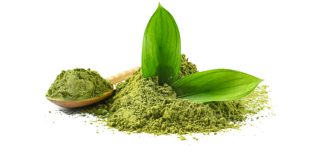 aloe moringa Handcrafted Aloe Vera With Moringa Soap main image 1