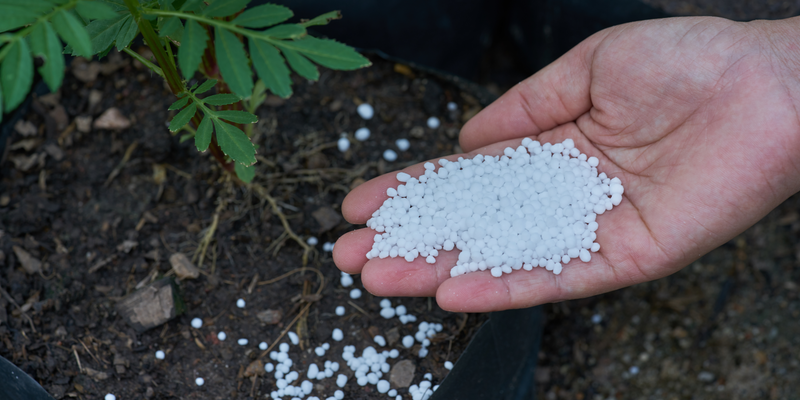 UREA