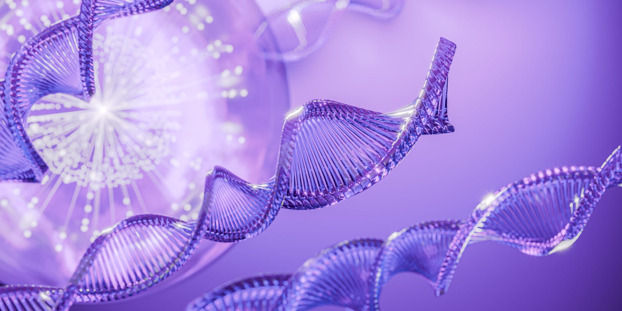 PDRN (POLYNUKLEOTIDE) / LACHS-DNA