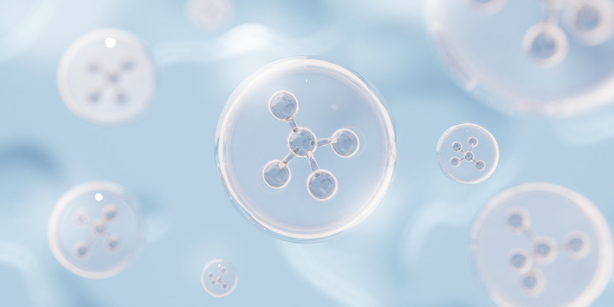 LOW-MOLECULAR-WEIGHT HYALURONIC ACID
