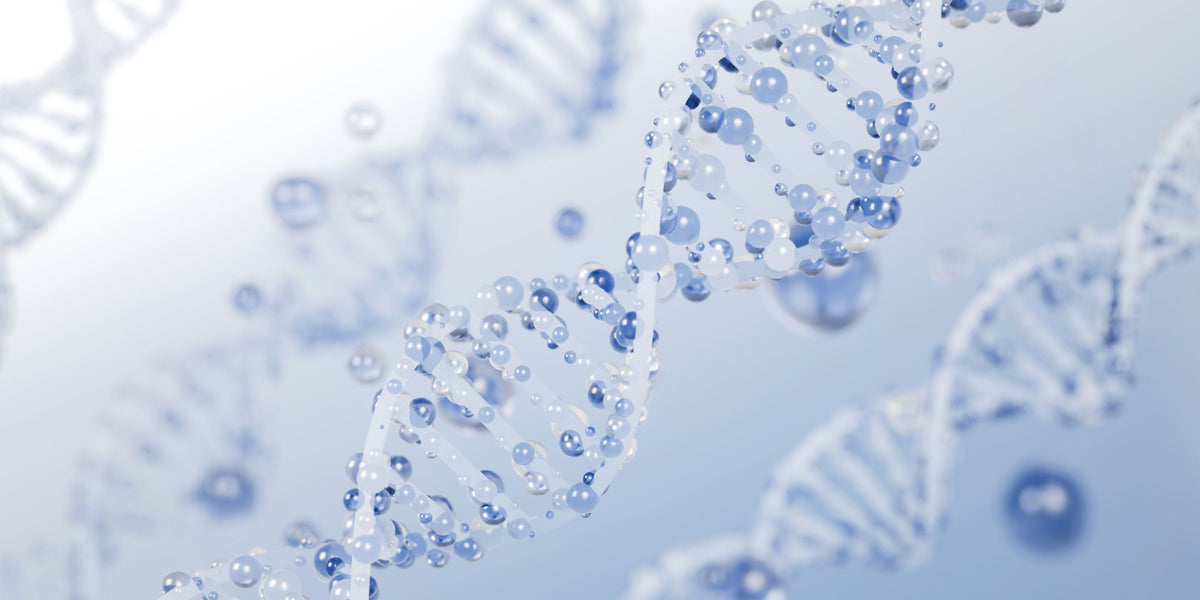 NEUROPEPTIDE