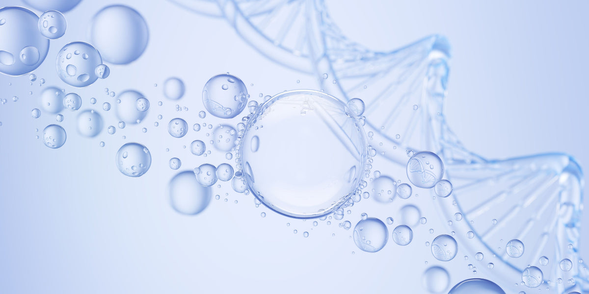 SIGNALPEPTIDE
