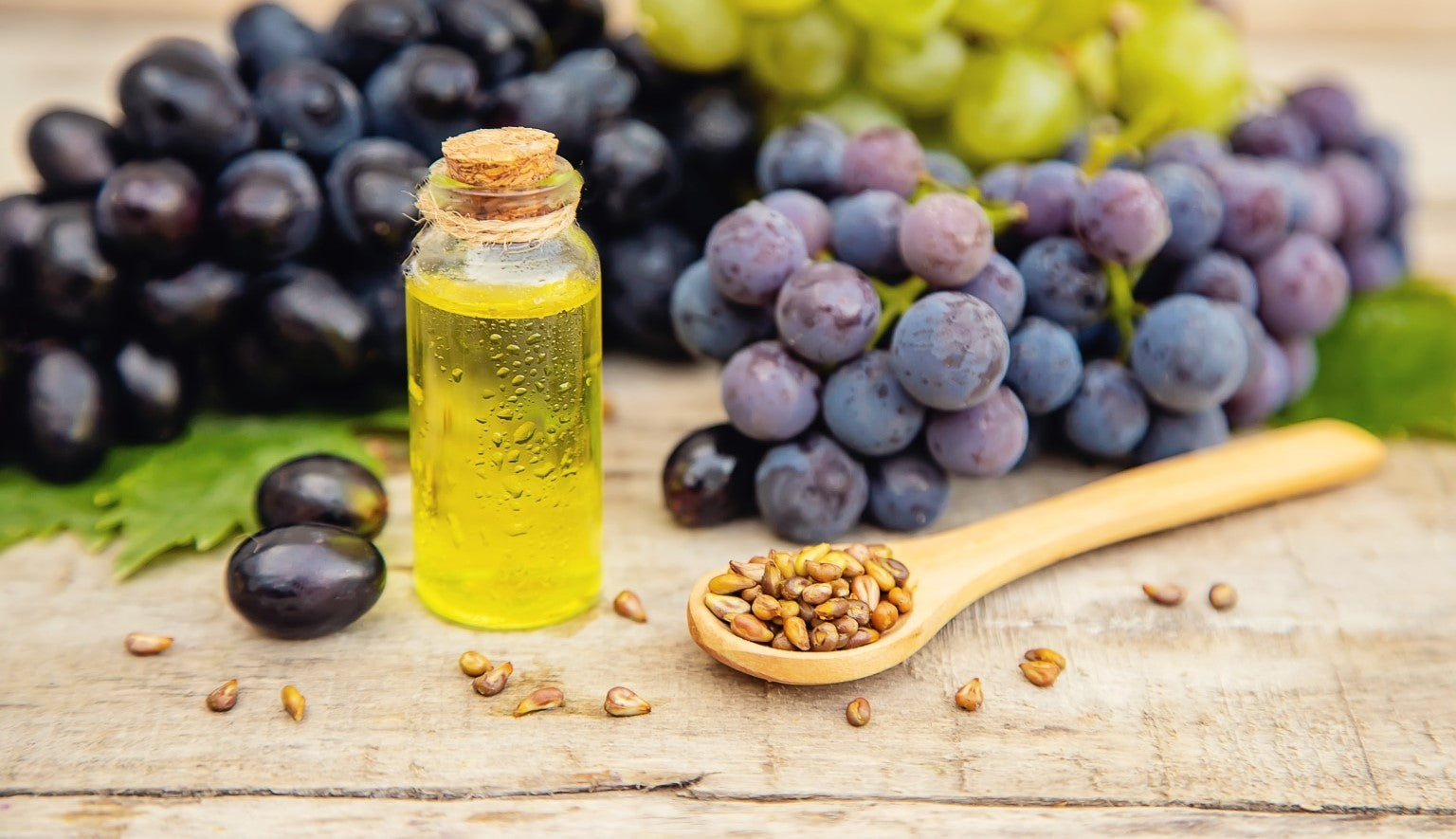 TRAUBENKERNÖL / VITIS VINIFERA SEED OIL