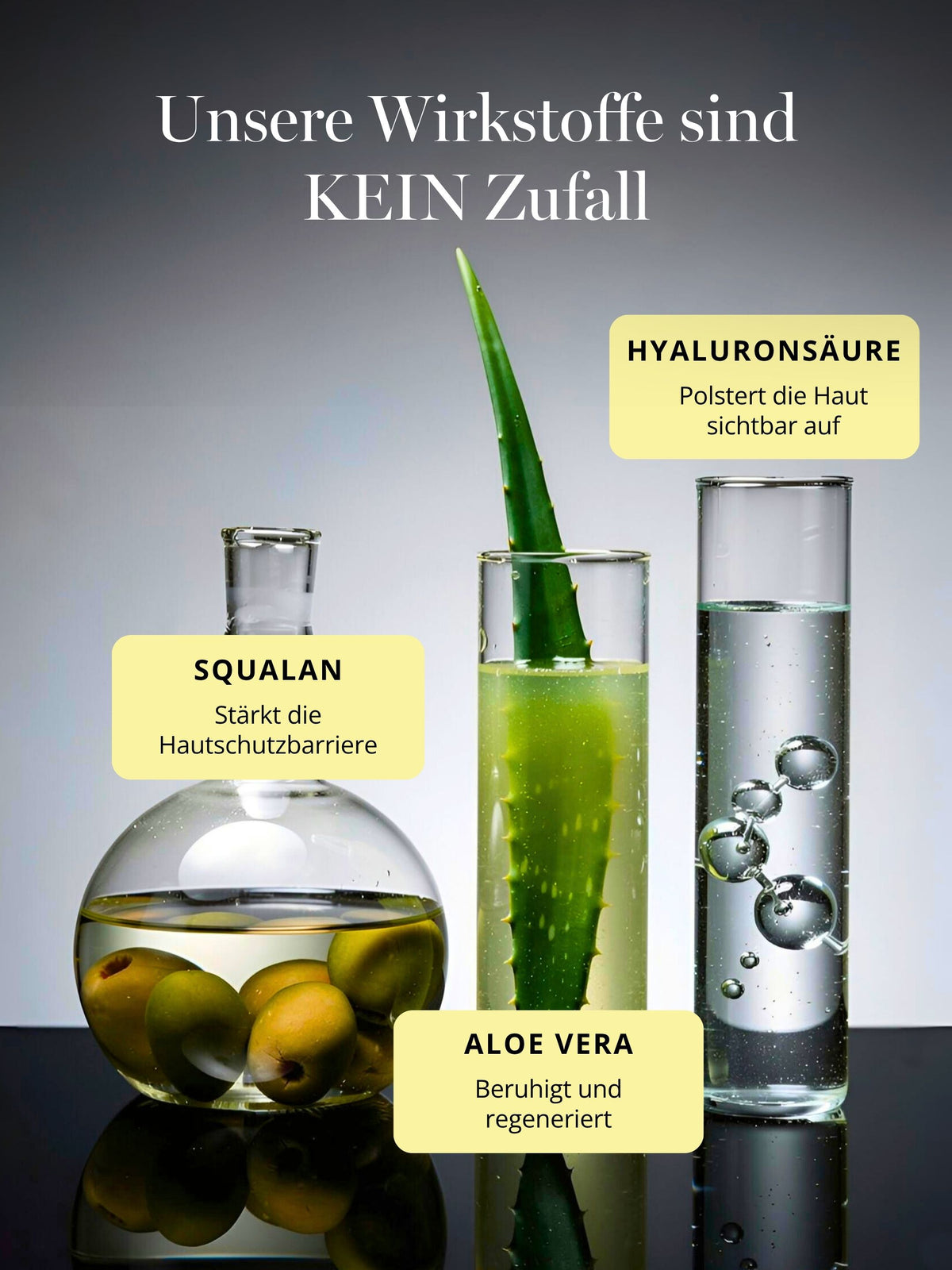 Active ingredients in DOC BERGER EFFECT Four Seasons Day Cream with SPF 50+: Hyaluronic acid promotes intense hydration and a plump, supple complexion; squalane strengthens the skin’s protective barrier; and aloe vera soothes and nourishes the skin—all combined with high daily sun protection.