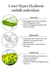 Wirkstoffe im DOC BERGER EFFECT Hyper Hyaluron Serum – Aloe Vera, Niacinamid und Grüner Tee zur Beruhigung, Hautbarriere-Stärkung und antioxidativem Schutz