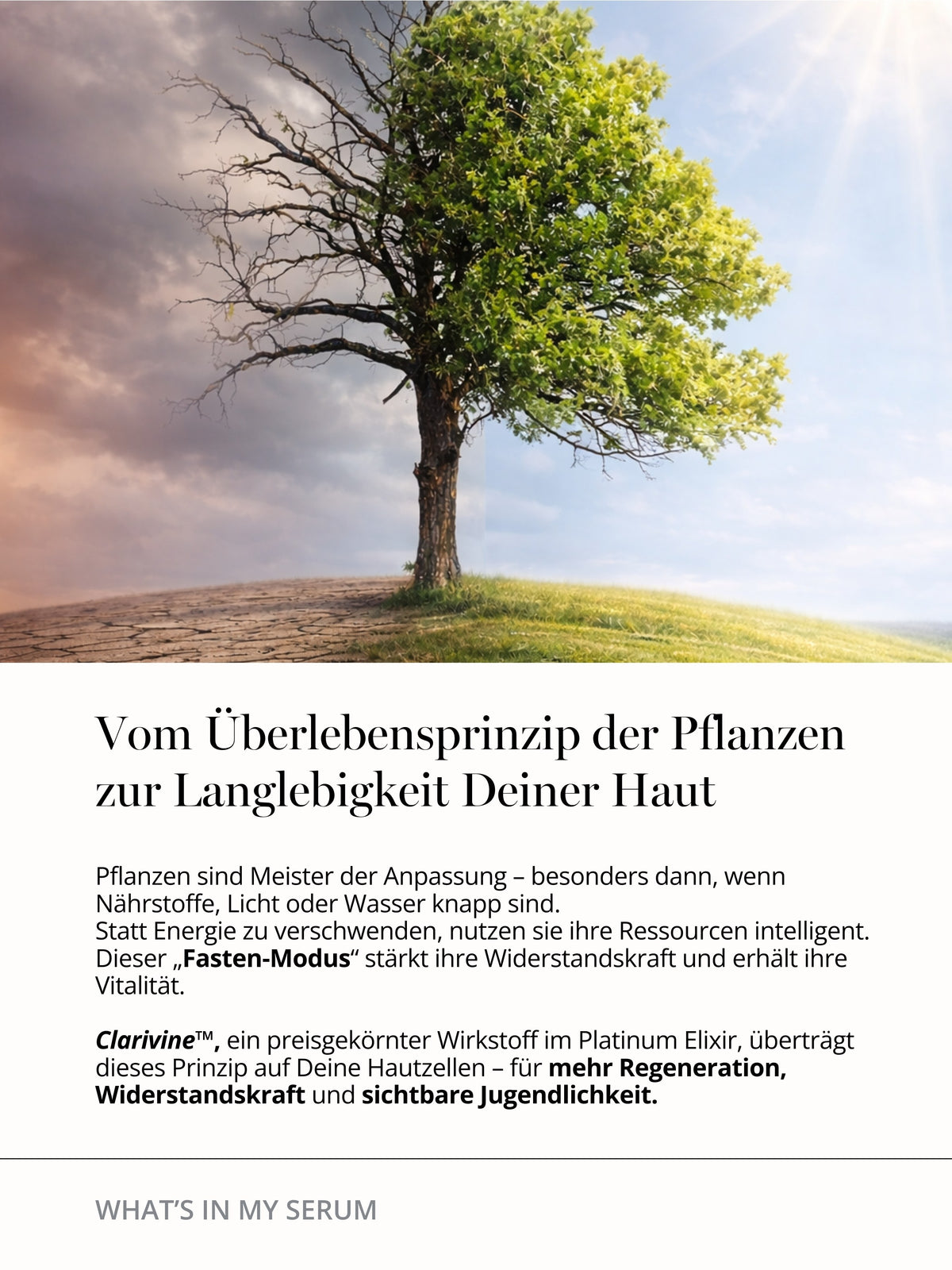 Longevity Prinzip von Pflanzen als Inspiration für das Platinum Elixir – innovatives Peptidserum mit Clarivine, Antioxidantien und Exosomen für regenerierte Haut