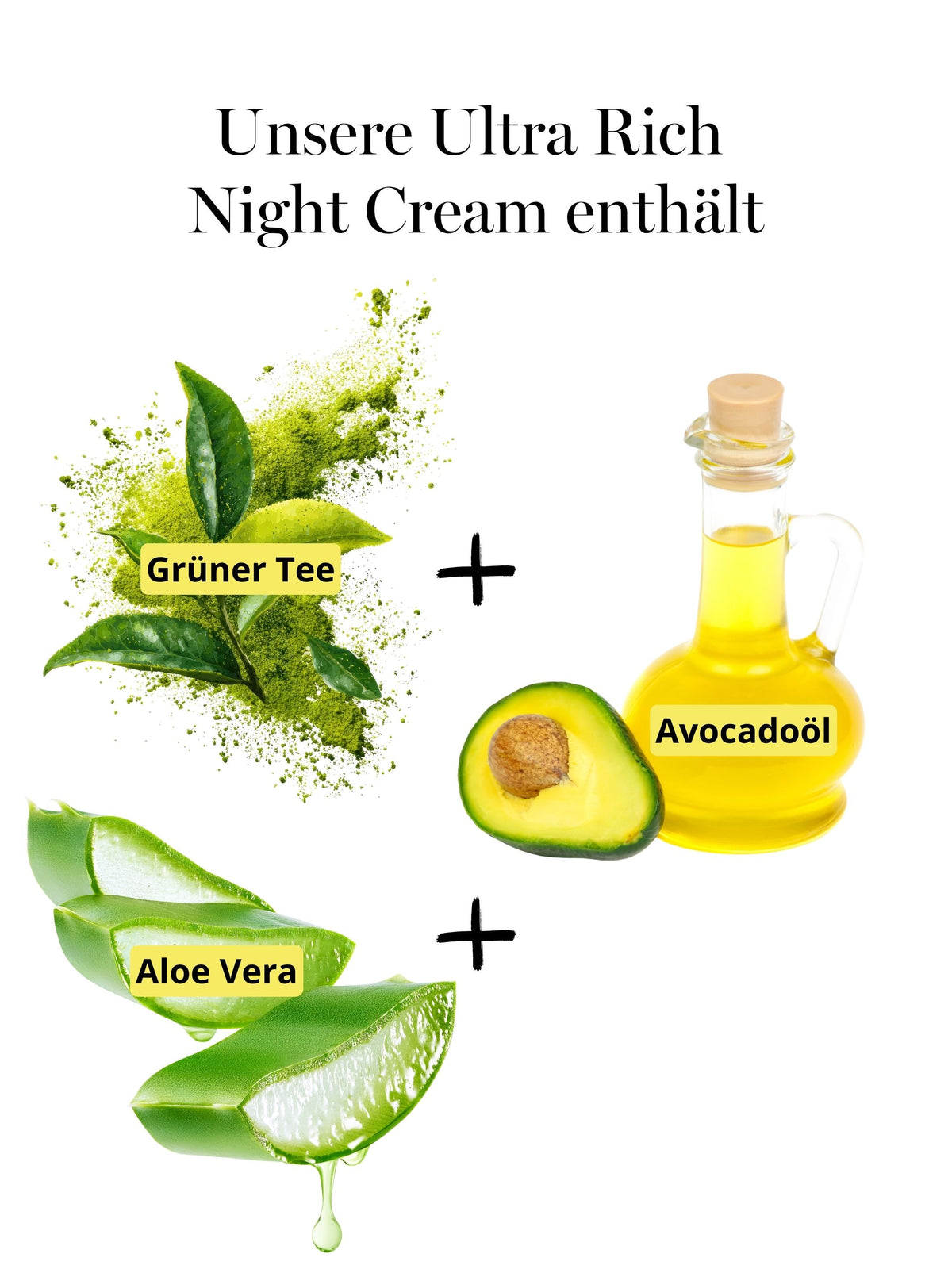 DOC BERGER EFFECT Ultra Rich Night Cream mit Avocadoöl, Grünem Tee und Aloe Vera für trockene, beanspruchte und reife Haut. Die Anti-Aging Nachtpflege unterstützt Geschmeidigkeit, Feuchtigkeitsversorgung und Hautbarriere und eignet sich besonders bei trockener, rauer oder spannender Haut.